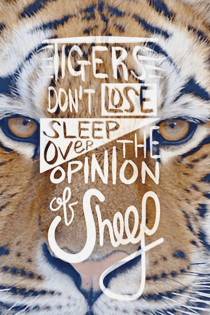 Screen Shot 2015-02-25 at 1.15.18 PM