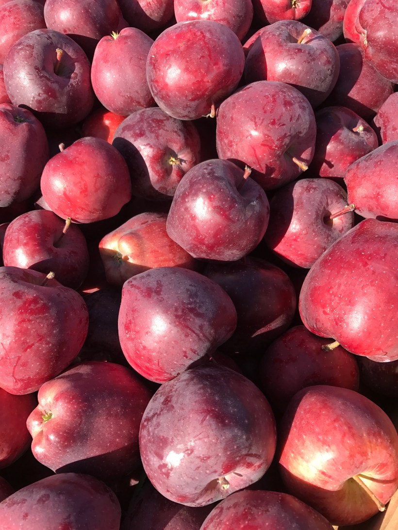 043C3CEF-B9AE-4446-926A-E1C890144A4D