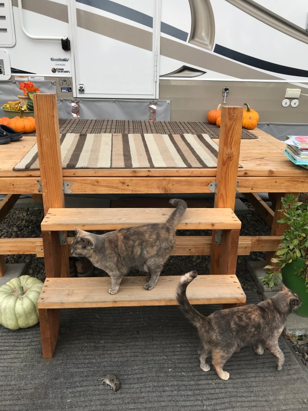 6FD32CE5-DEC9-4508-8E99-0C77D1459D09