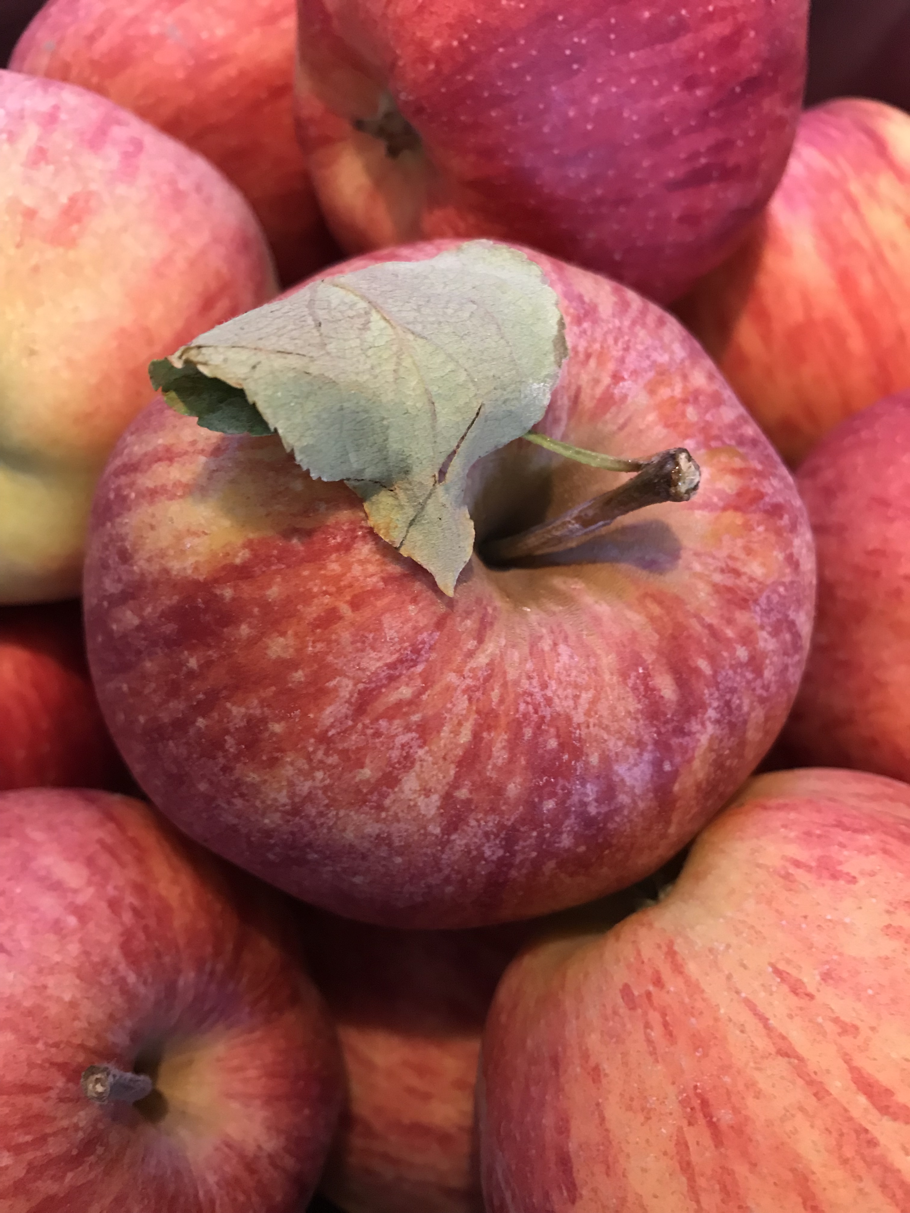 23E1D89E-57E8-498A-A2B9-3A94B1BB34F7