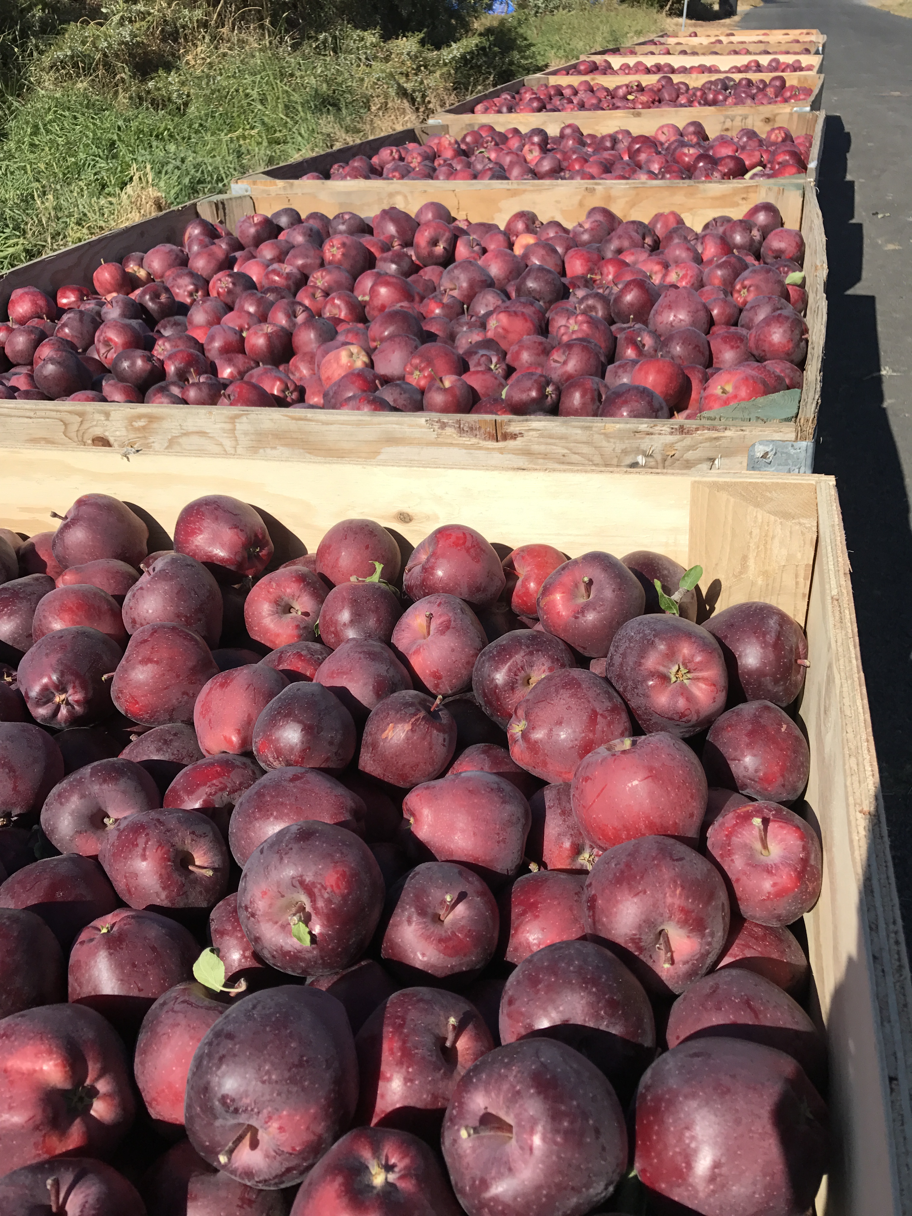 AC9B9D35-9078-412B-B1BE-69476814F6F6