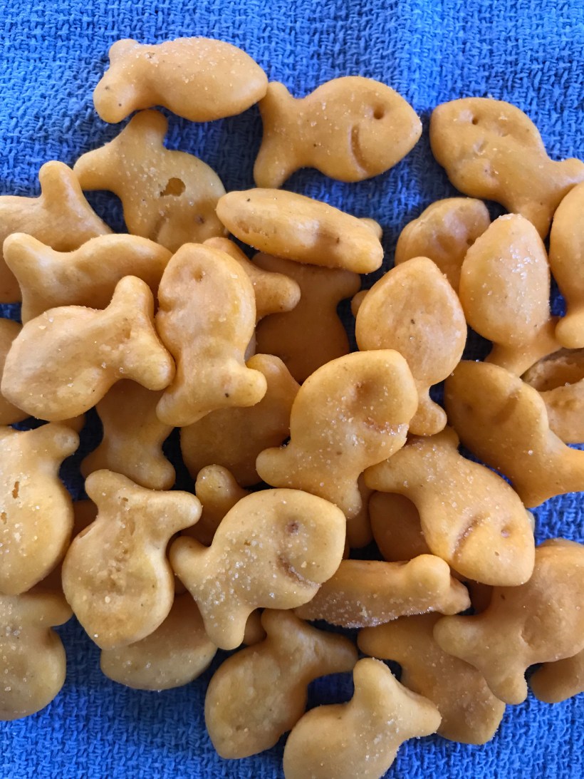 4263B0FE-DDFB-487B-9AAB-D6E8574BF181