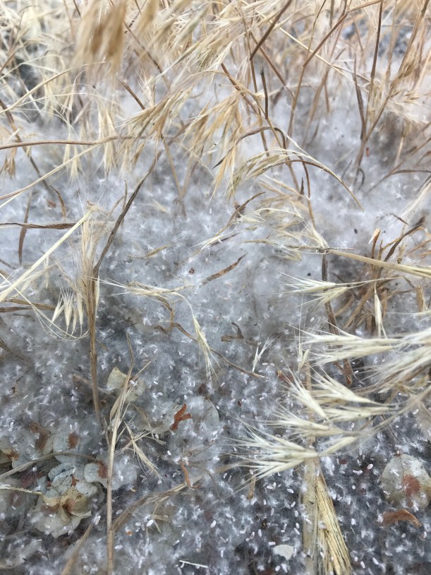 D4FADB8E-1EC8-4706-A318-7D95C22BE6BF