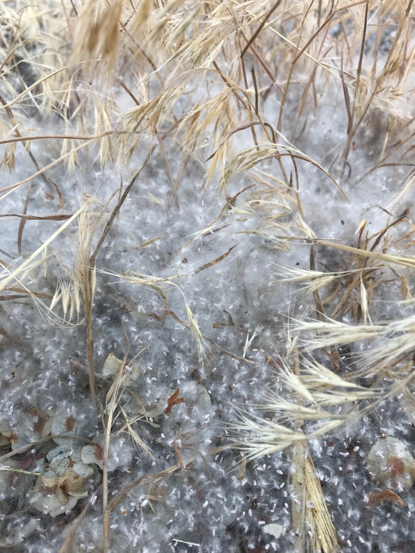 D4FADB8E-1EC8-4706-A318-7D95C22BE6BF