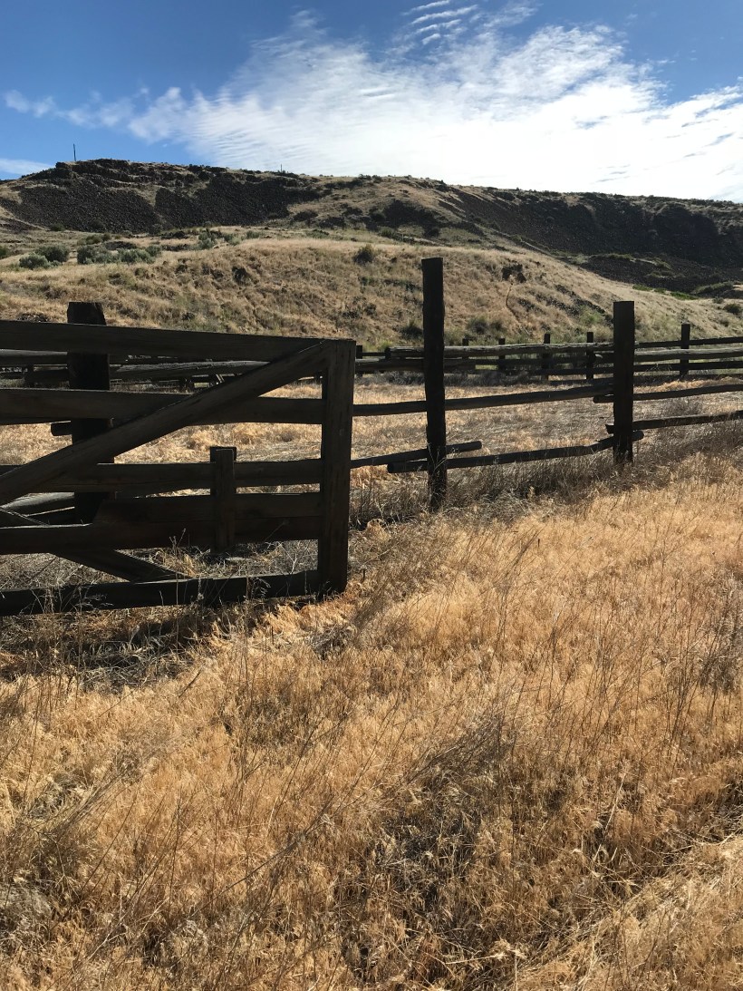 75821E10-345A-4ED7-9A48-3A671A684BA4