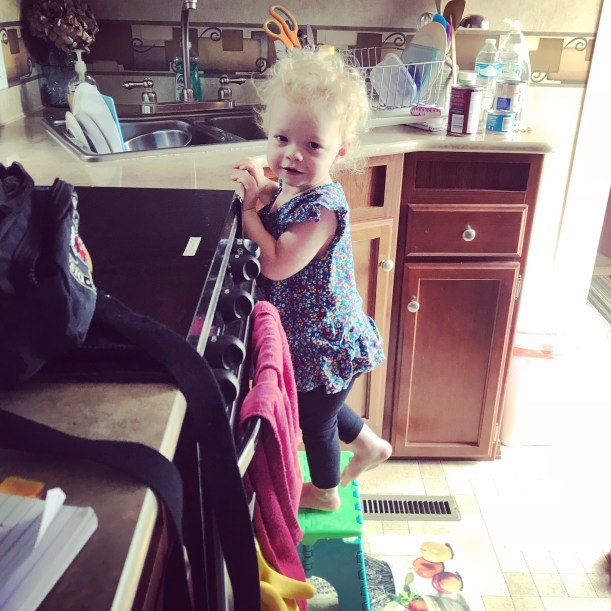 84A247B9-1486-477A-82C5-AE7D8CBAD8C1