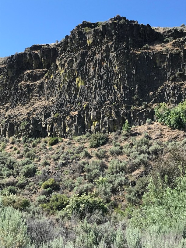 962C3223-FD1F-4779-882B-73DA7F5068F9