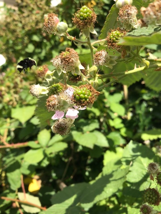 0BD6466E-1E68-4890-BDCE-E0B38AE06B8D