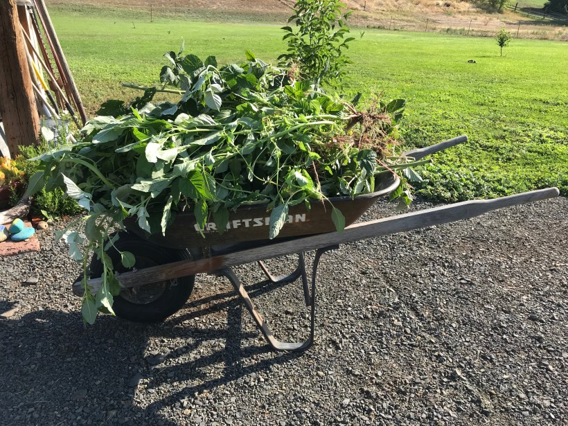 6AE8E43A-39D4-4C1F-96B1-7B7D3C9BE4FB