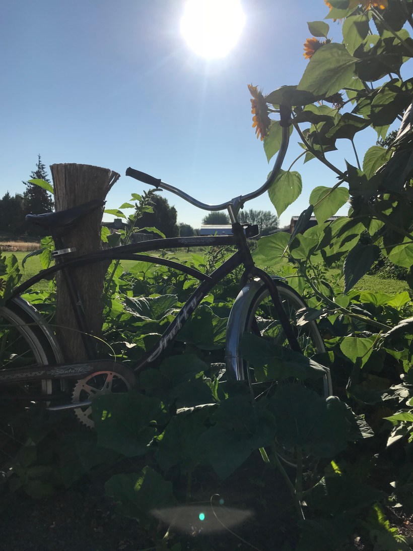 87E003B1-2FD1-40E2-9F7C-B97AD198F668