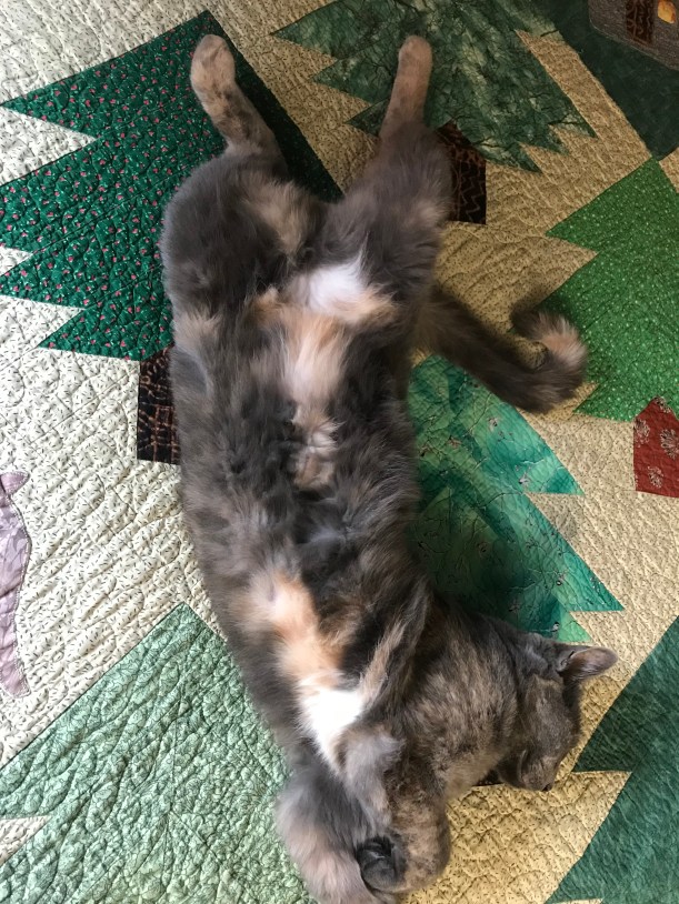 18064C8D-216F-41B4-8954-39C66580C120