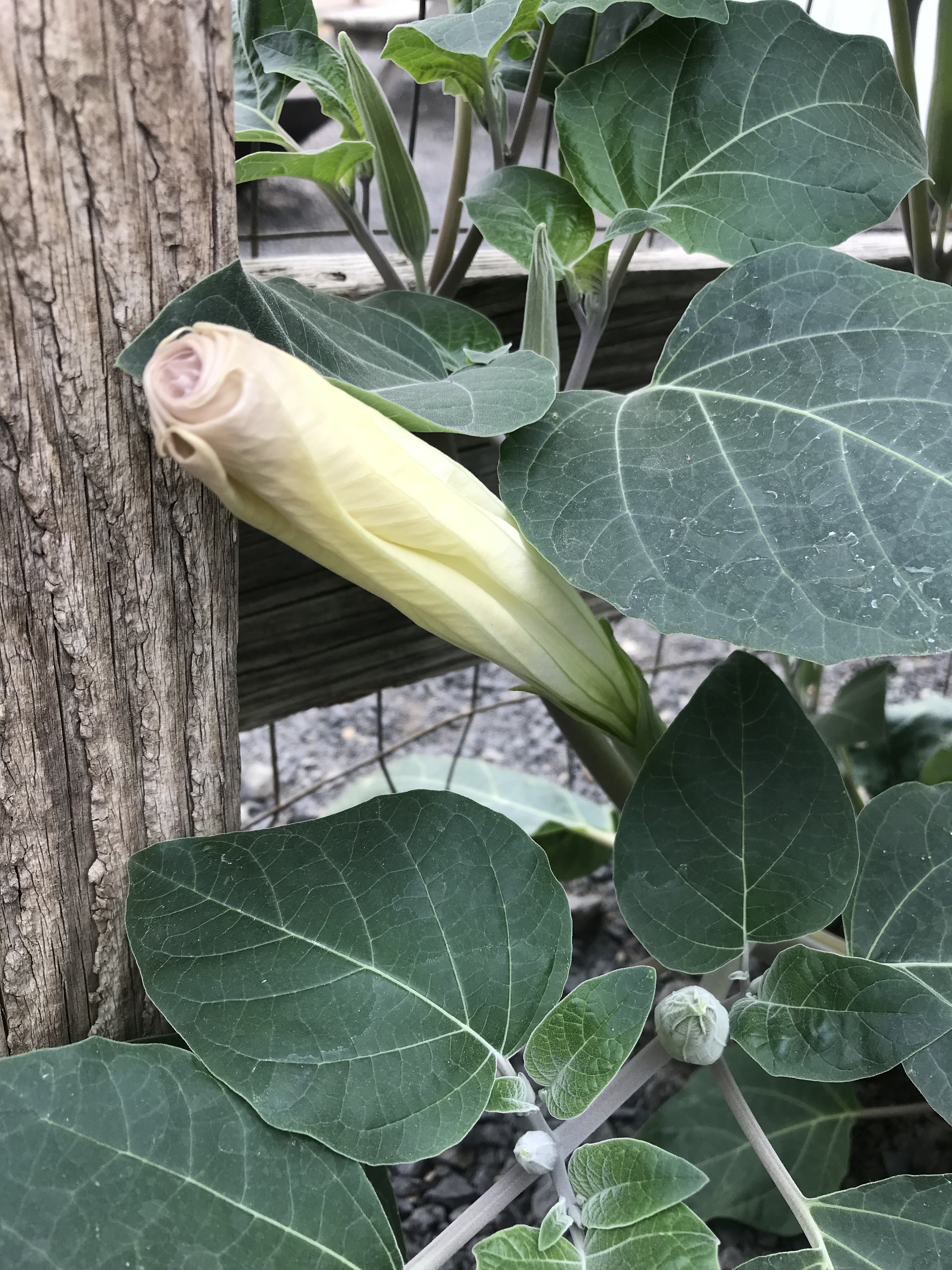 1E3D42EC-A712-4713-A9CE-5271787BE339