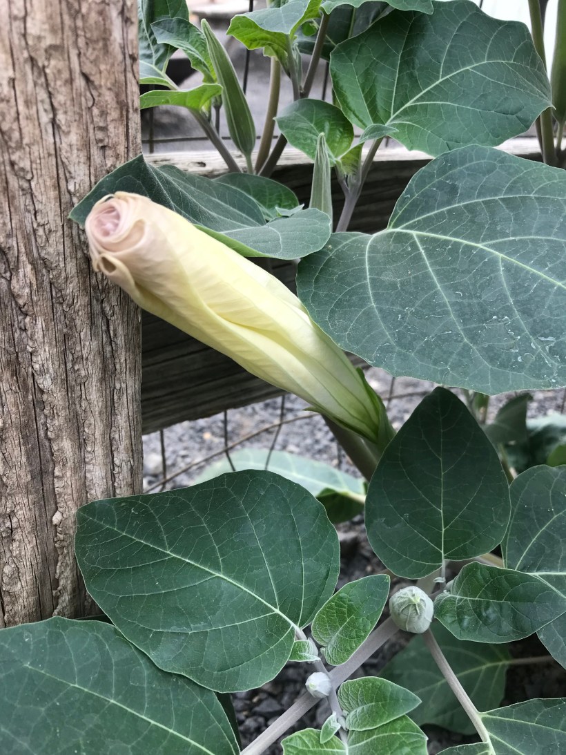 1E3D42EC-A712-4713-A9CE-5271787BE339