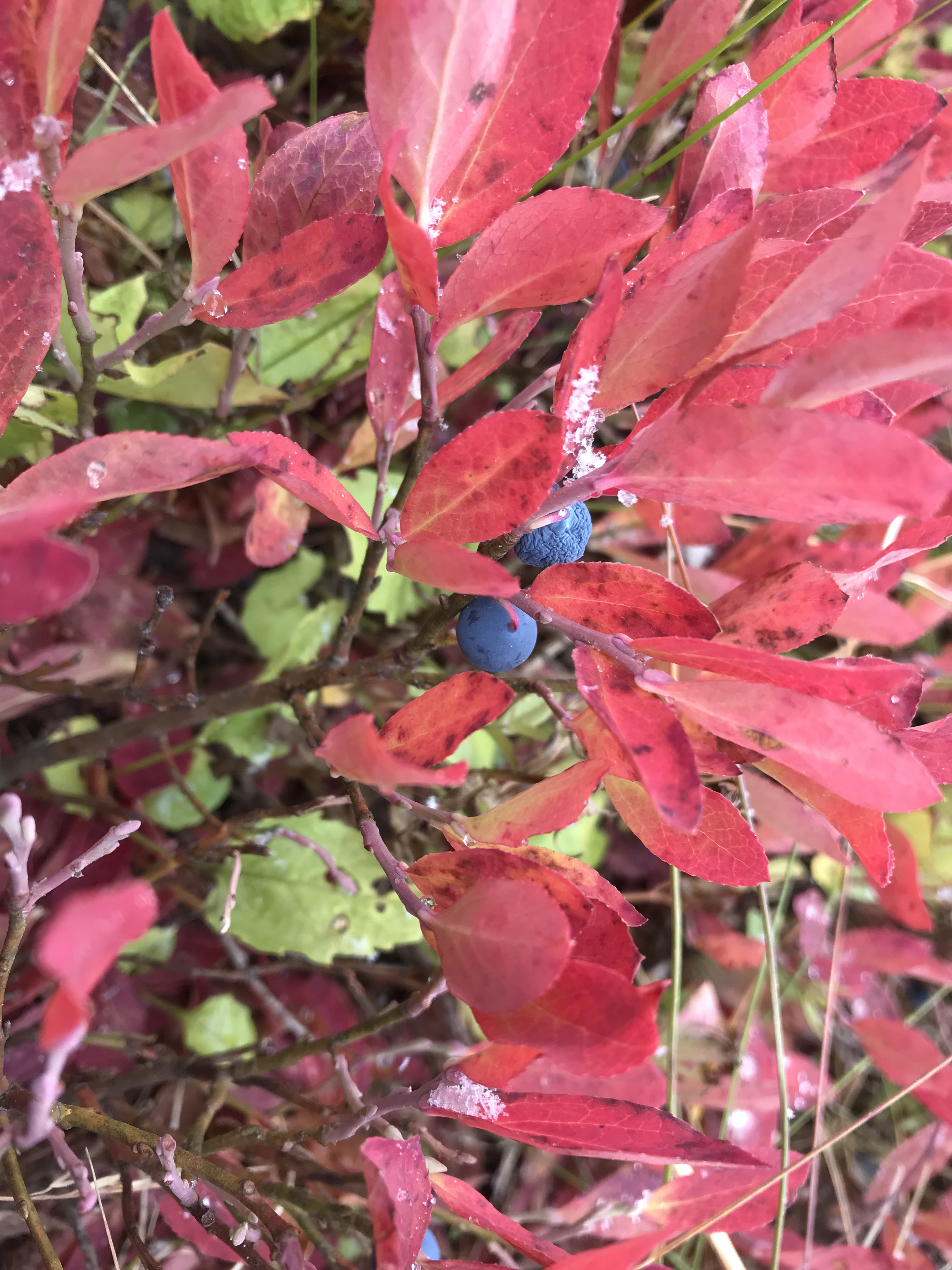 28319972-03DD-42F1-8096-81EA3C6C2A07