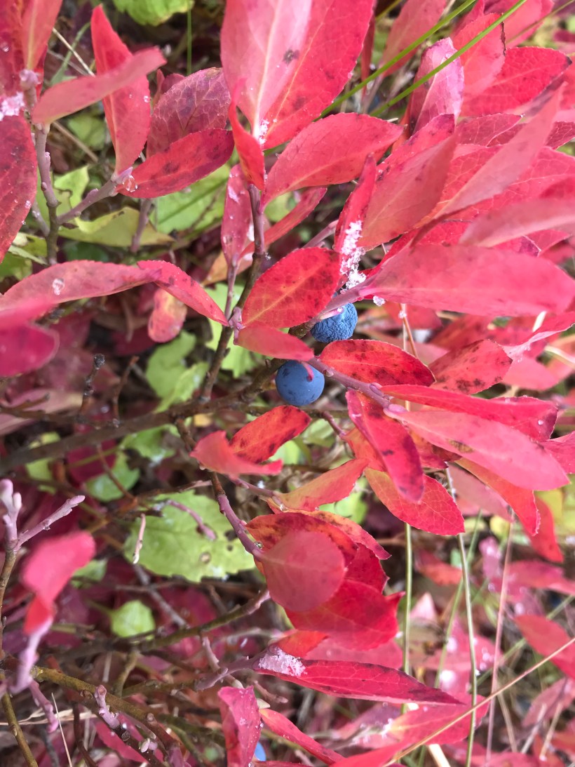 28319972-03DD-42F1-8096-81EA3C6C2A07