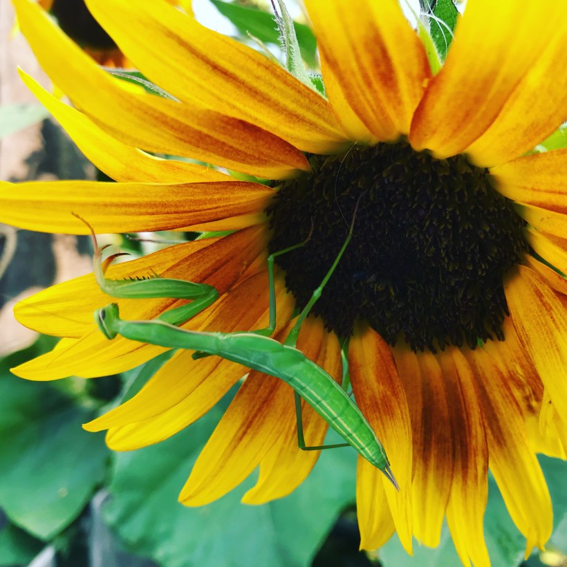 302770E6-2685-464B-920C-8394F19EA3D3