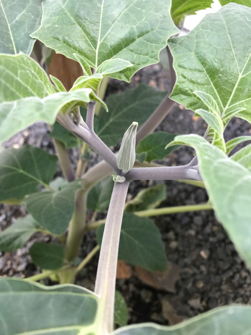 30B543F7-2D79-4A45-AD86-8A2ED853A549