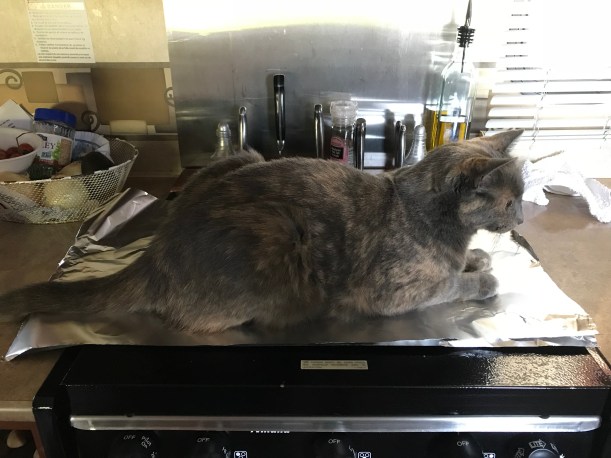 49CE4097-A490-4B14-B075-5052C8B186B3