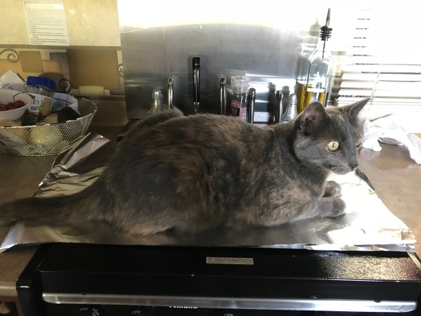 75AC6A9A-34D5-496A-87B5-195226F0FCA0