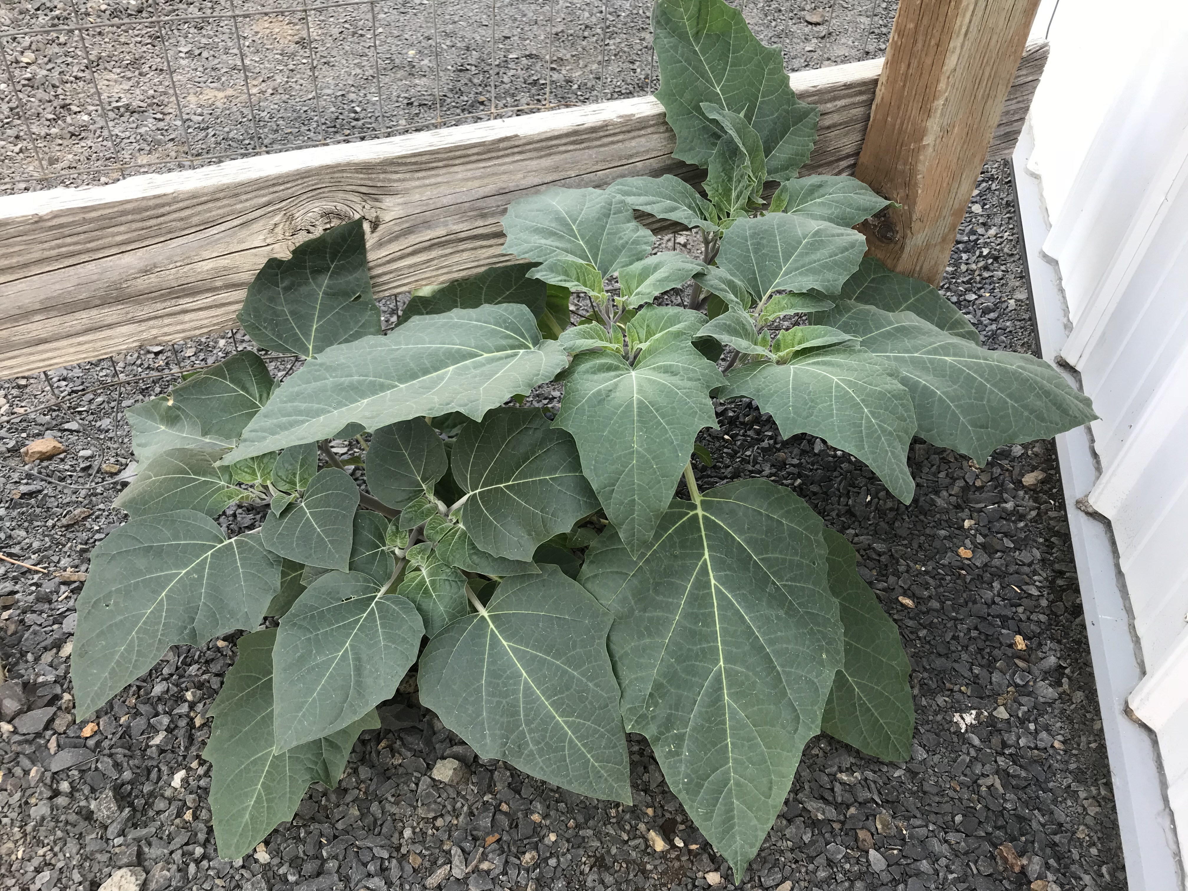 7C5E4FAC-D39D-4A9E-969B-65862A279398