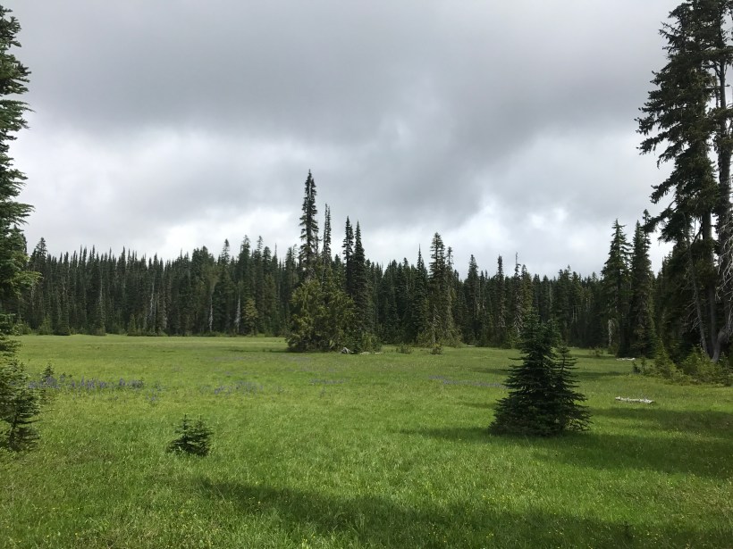 858A1E5F-5B80-4326-880E-319633466E10