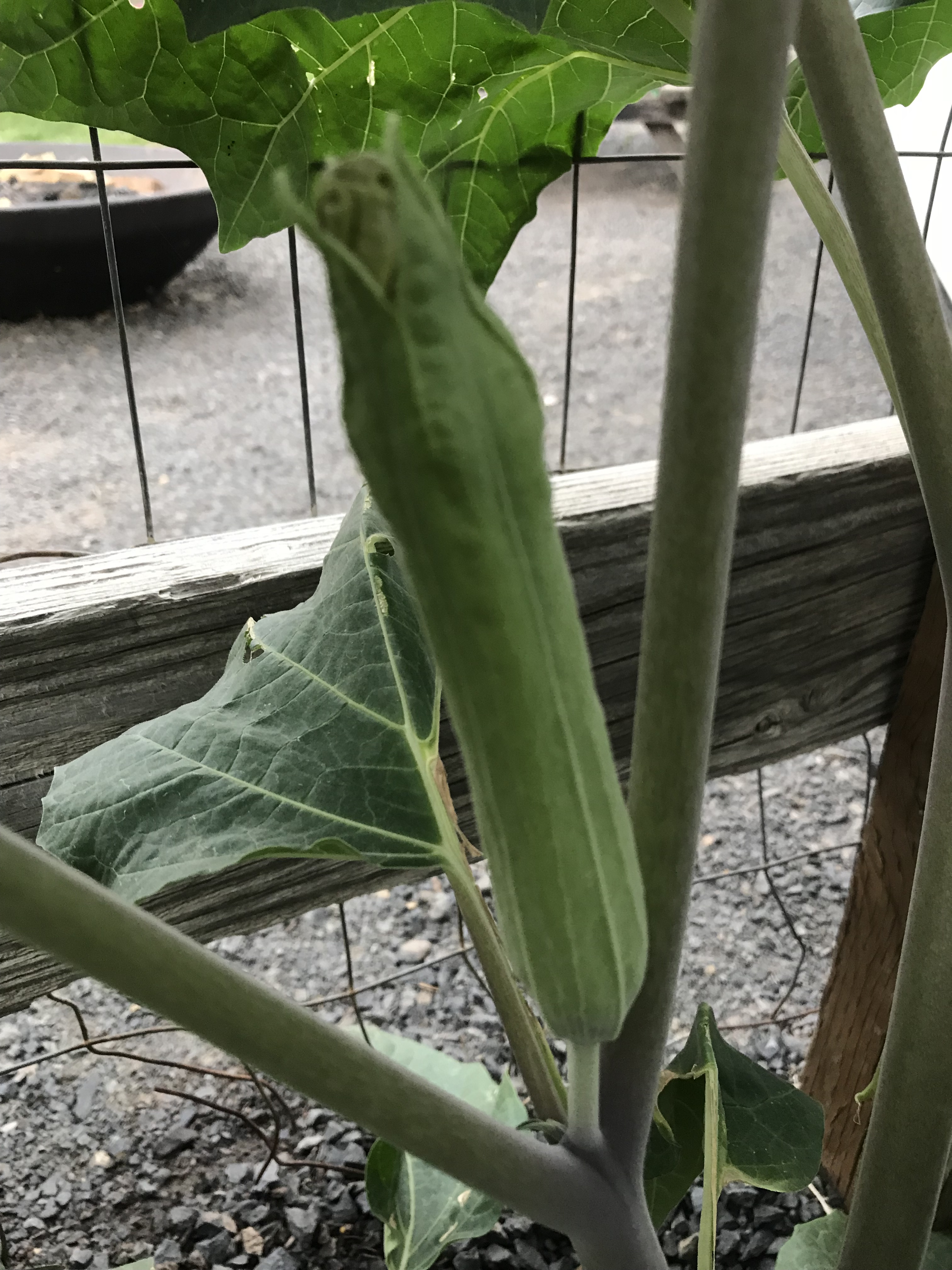 88AB875C-A414-4947-B963-BFC69ABB24CC