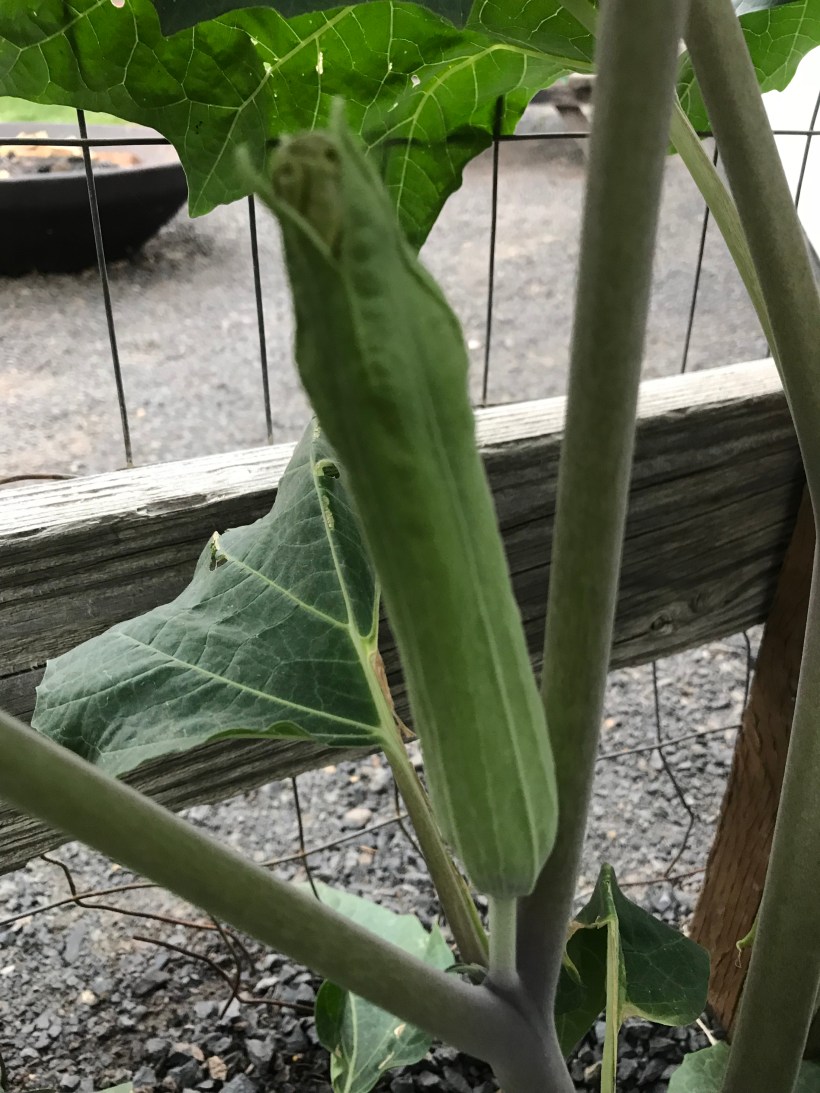 88AB875C-A414-4947-B963-BFC69ABB24CC