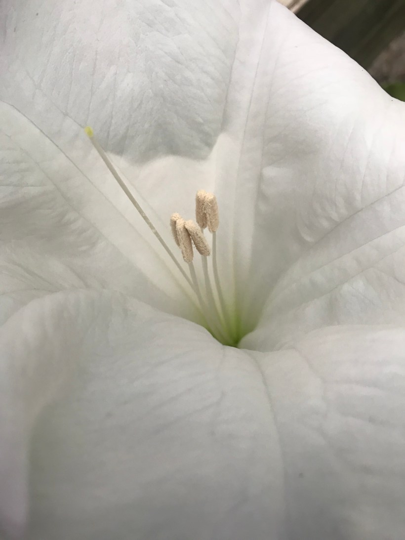 8B71829D-AD9F-411E-9907-A35EAA9CB1F8