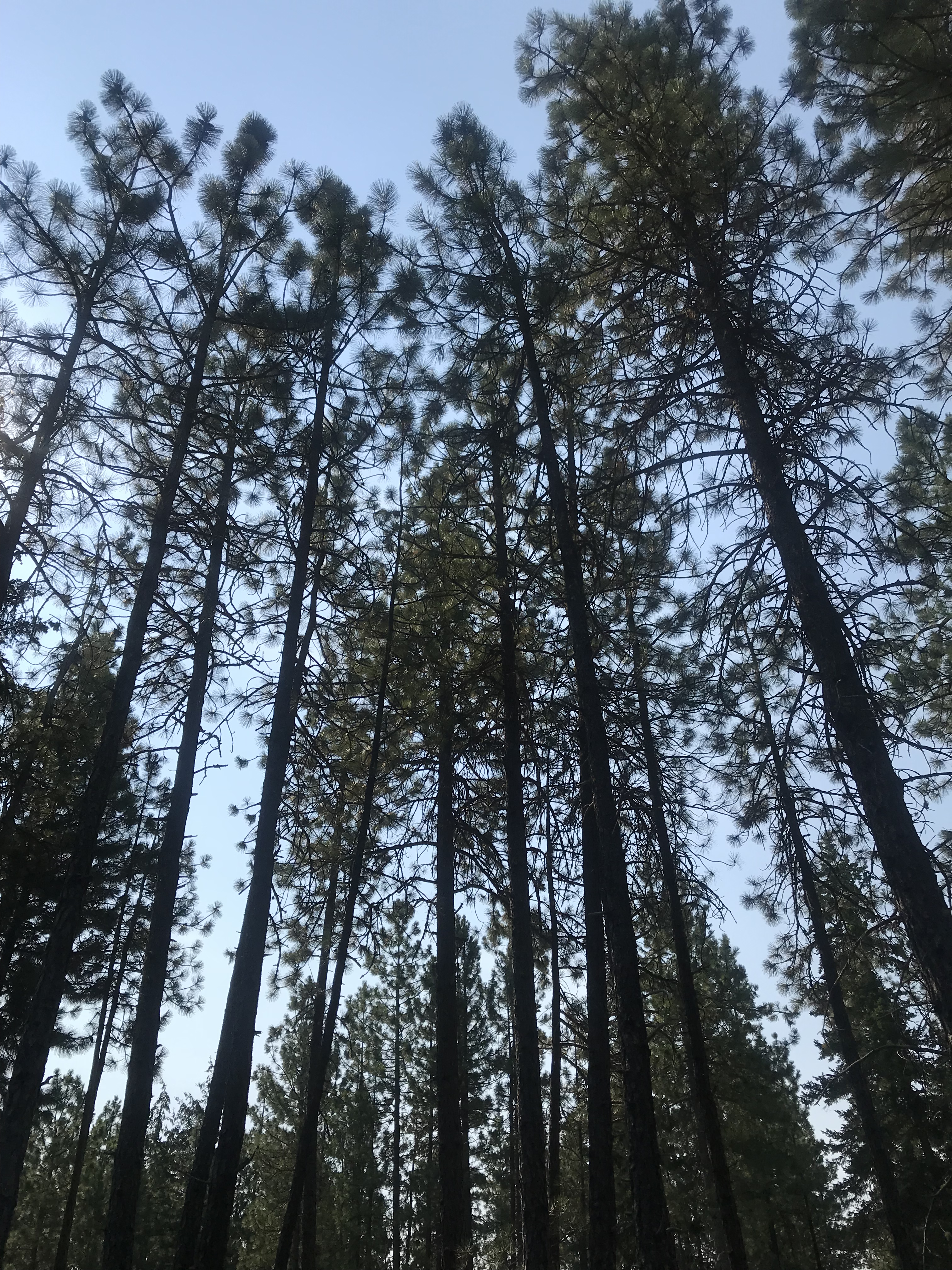 9B816A2E-ADA8-4267-801A-2C531C3DCB25