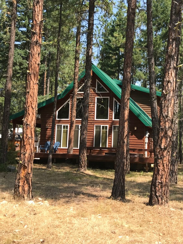 B62EFACA-D12E-44D0-893F-CF5B882ACCEF