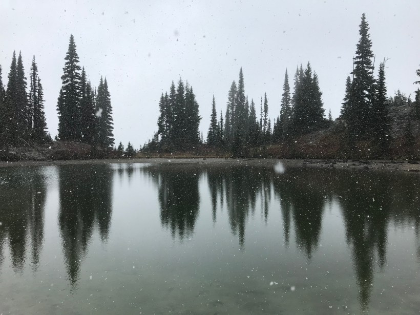 BB1B8421-FBE5-42B0-9889-81FE7FCC916F