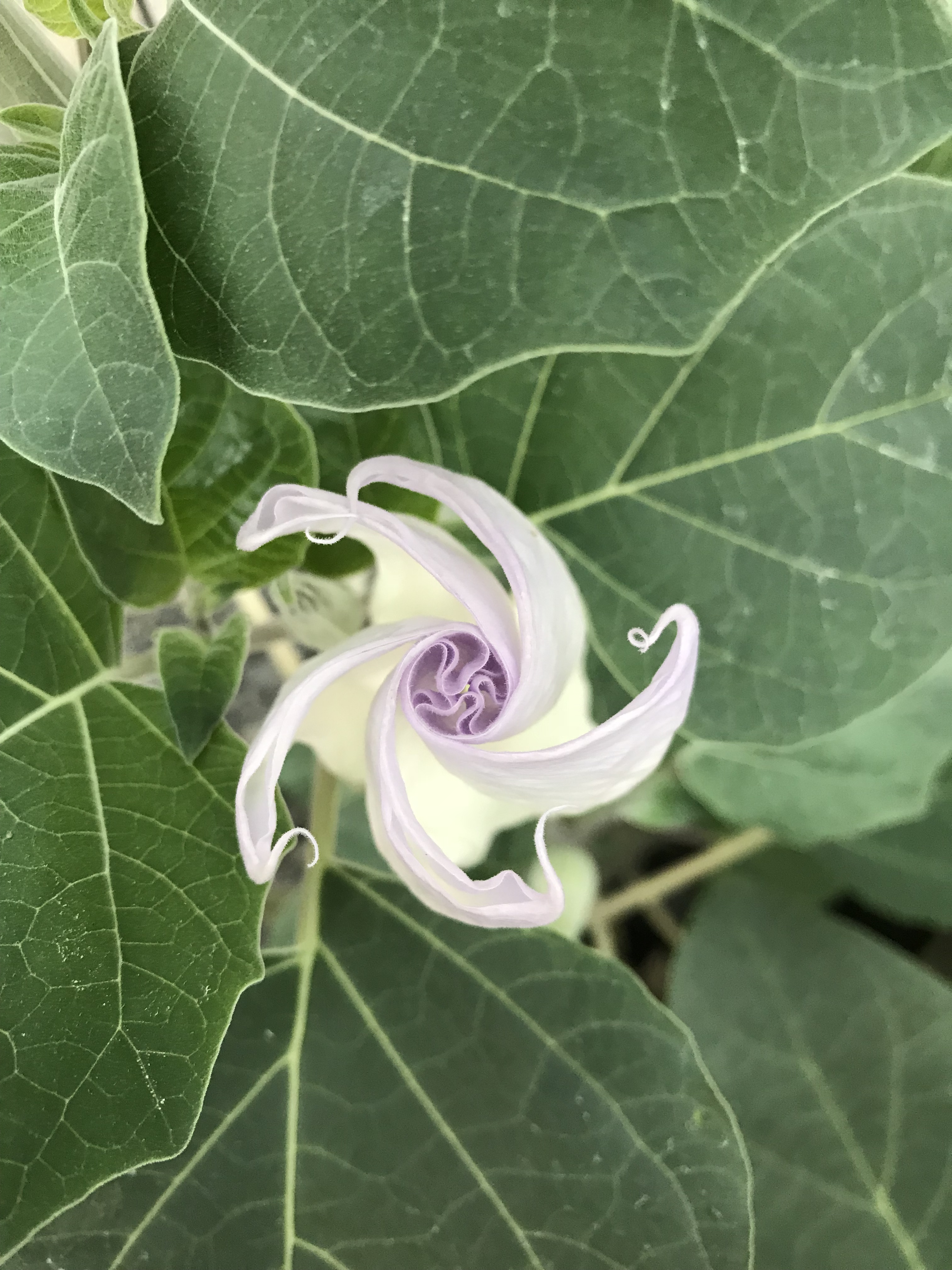 E22A7D1E-8EDD-45E7-B63B-0079C7EE1286