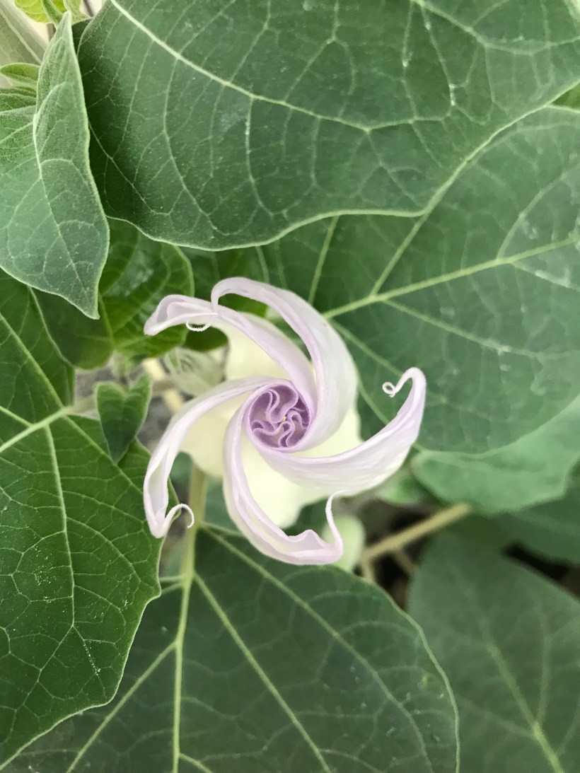 E22A7D1E-8EDD-45E7-B63B-0079C7EE1286