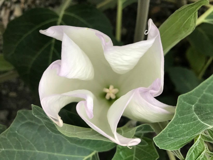 F49B6B9B-0634-4C7A-A9FB-3ACF3C7892AF