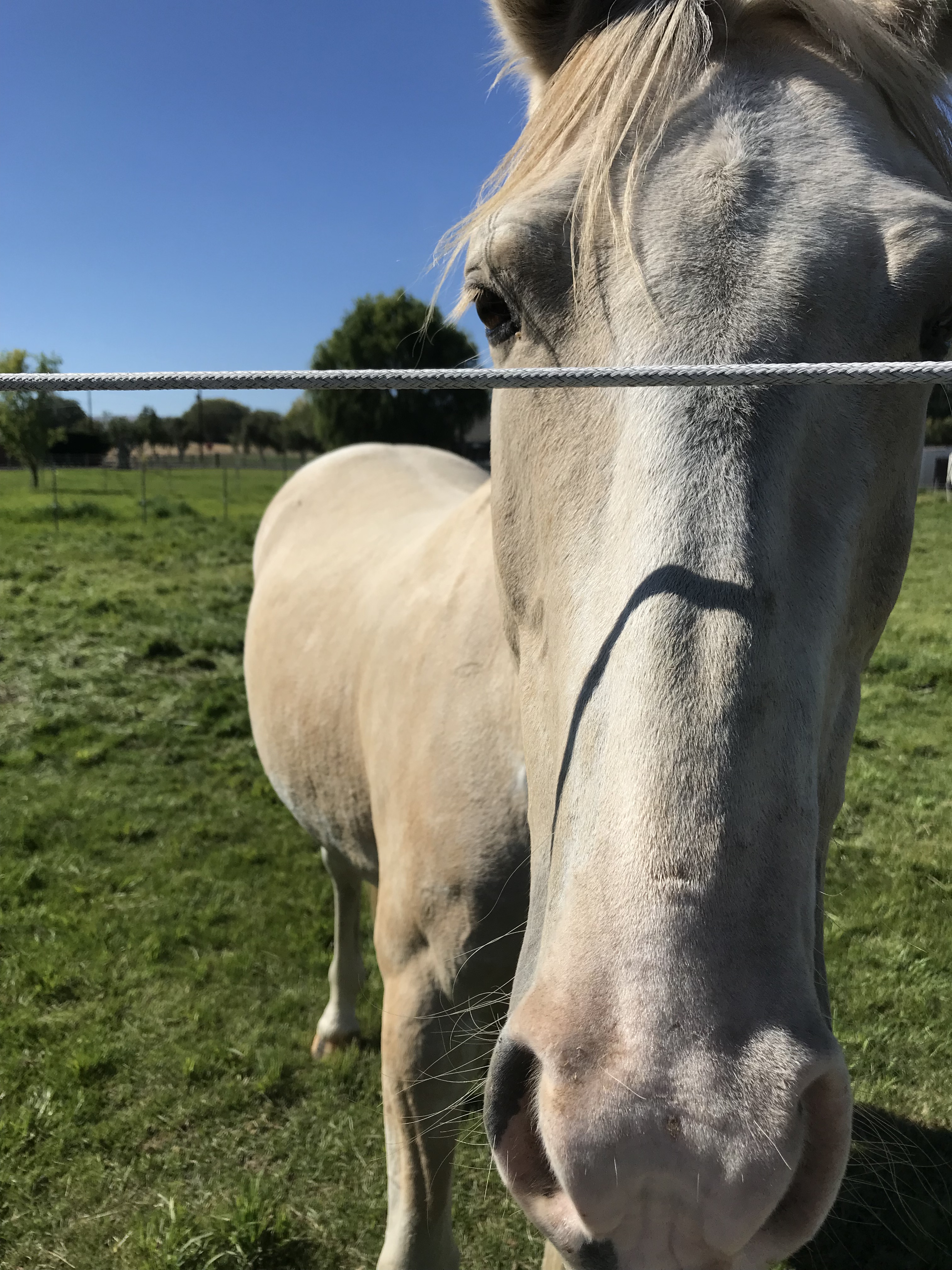 0CFB21DB-65C1-4628-B007-BD4B65B2B451