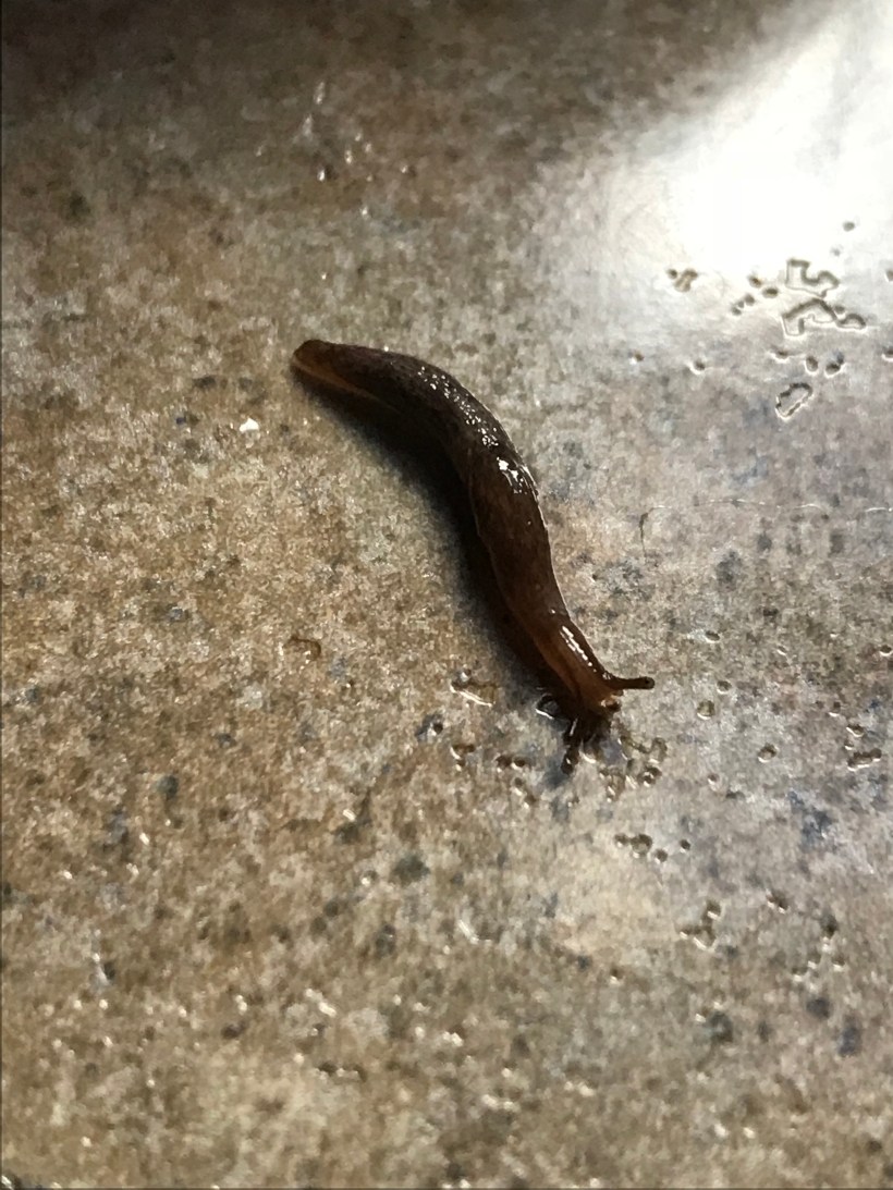 173D5D8B-F5C6-4AD0-906E-6D1D93B0CF51