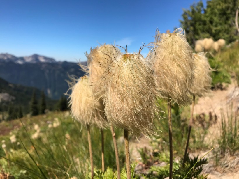 E406E5A5-8458-4E8A-8410-65918D8407F4