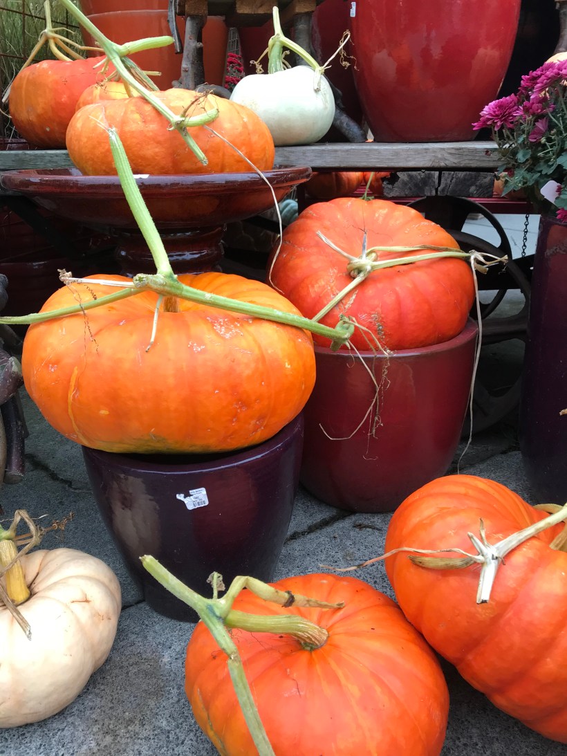 0BB00CBA-CDE6-4691-9CCD-3989E210D0D0