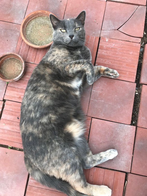 7F636100-5475-42A5-A5E3-A1B9E17A109D