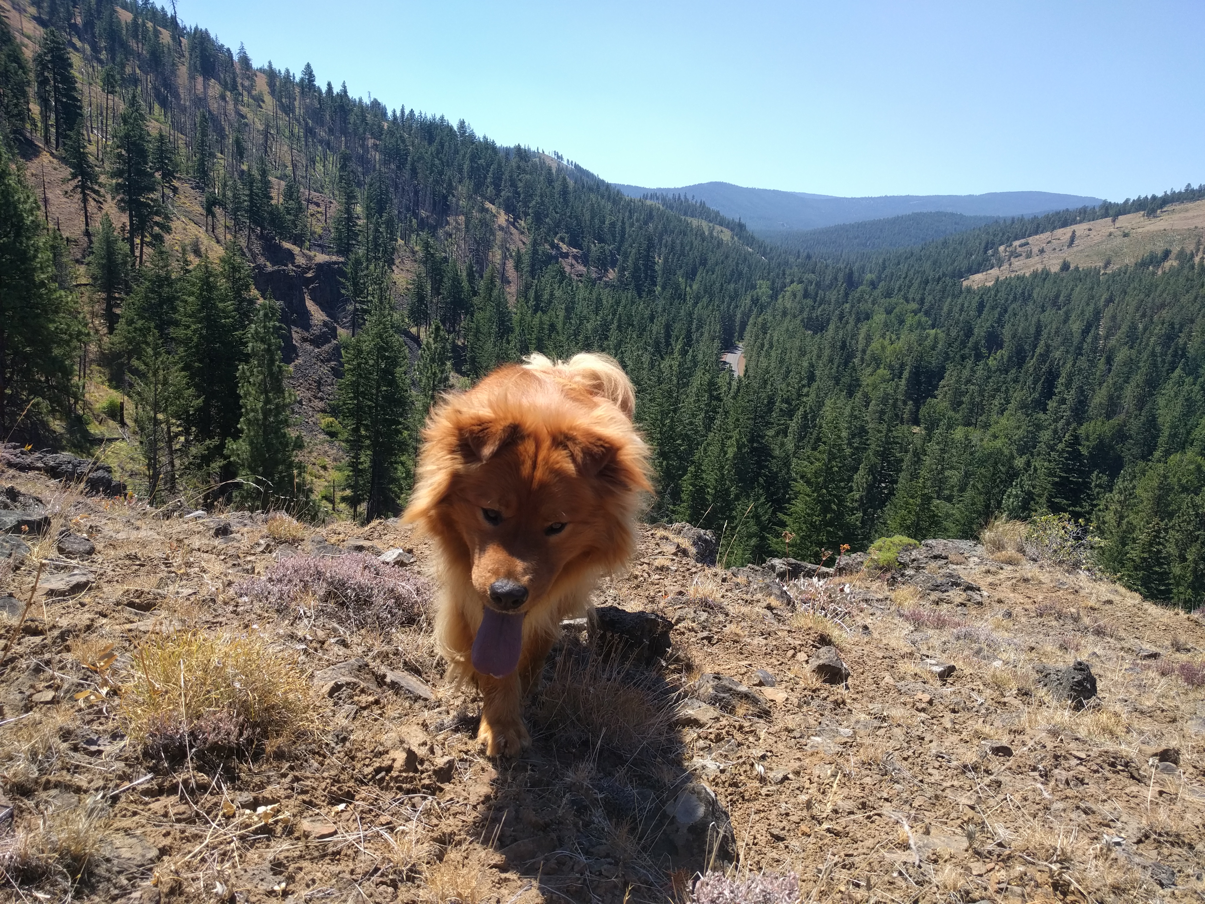 9FB5907F-087C-4CC4-81C1-EF647073185F