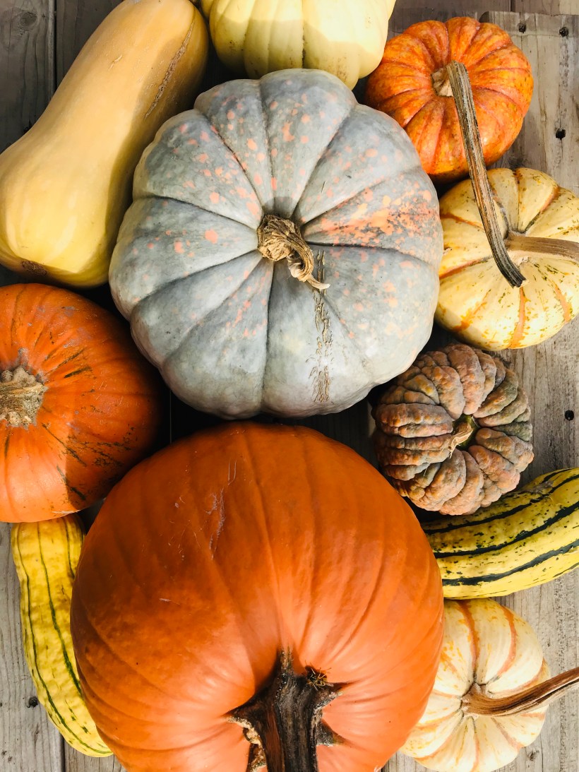 AB96CD53-BA90-46FF-A837-E278B2215619