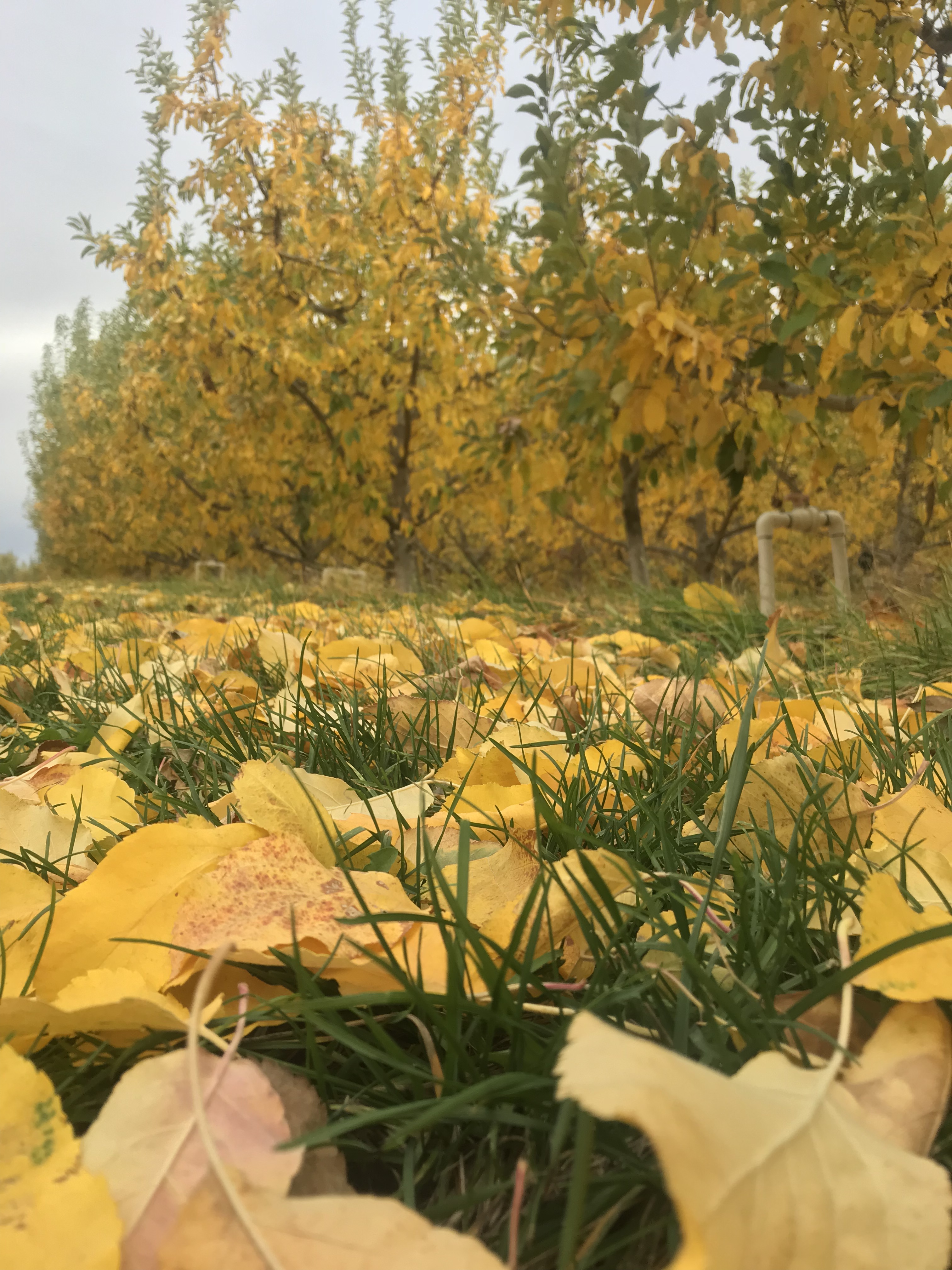 07D50BC1-C04A-497C-A41C-958FB8658FAB