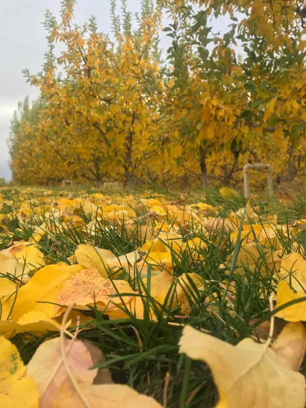 07D50BC1-C04A-497C-A41C-958FB8658FAB