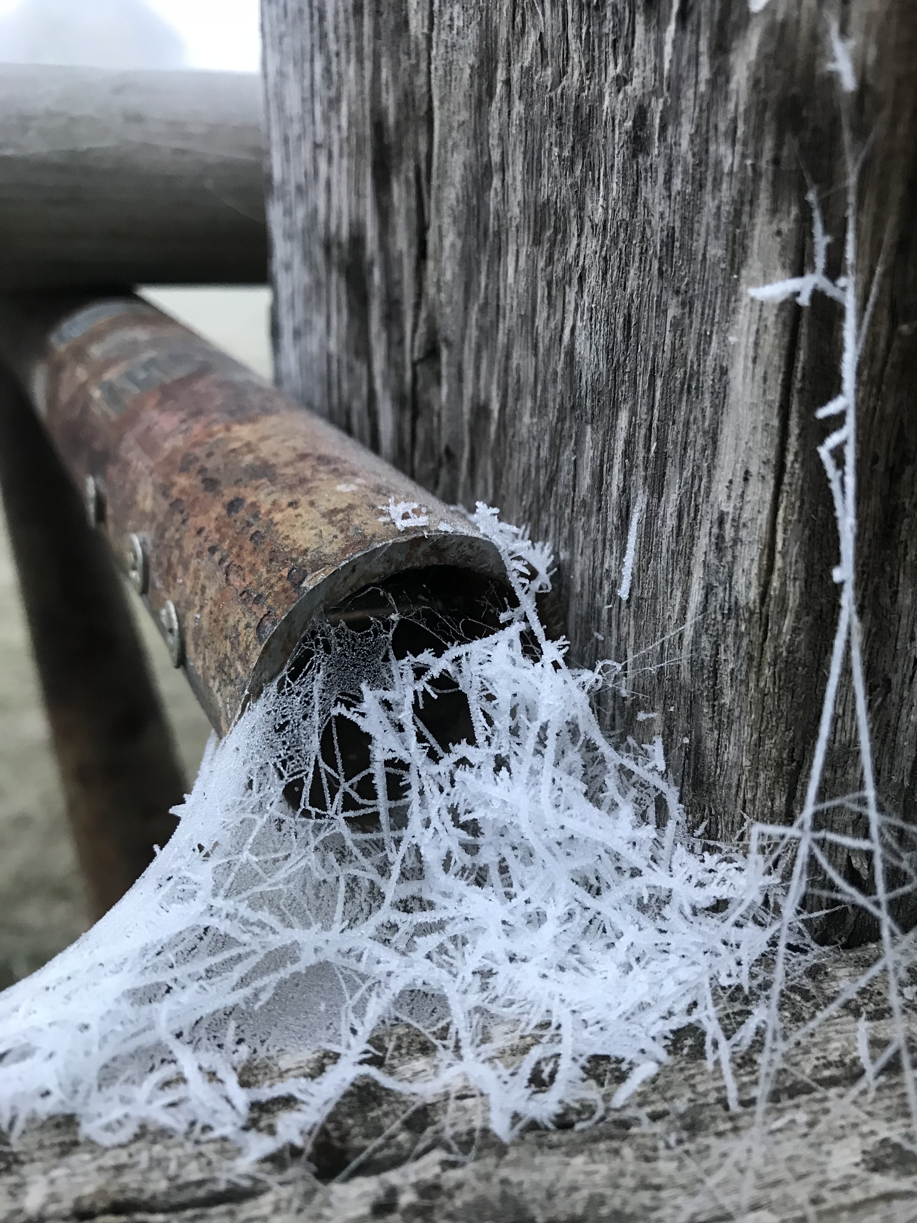 275E2CED-E562-44E7-8483-091283190FE9