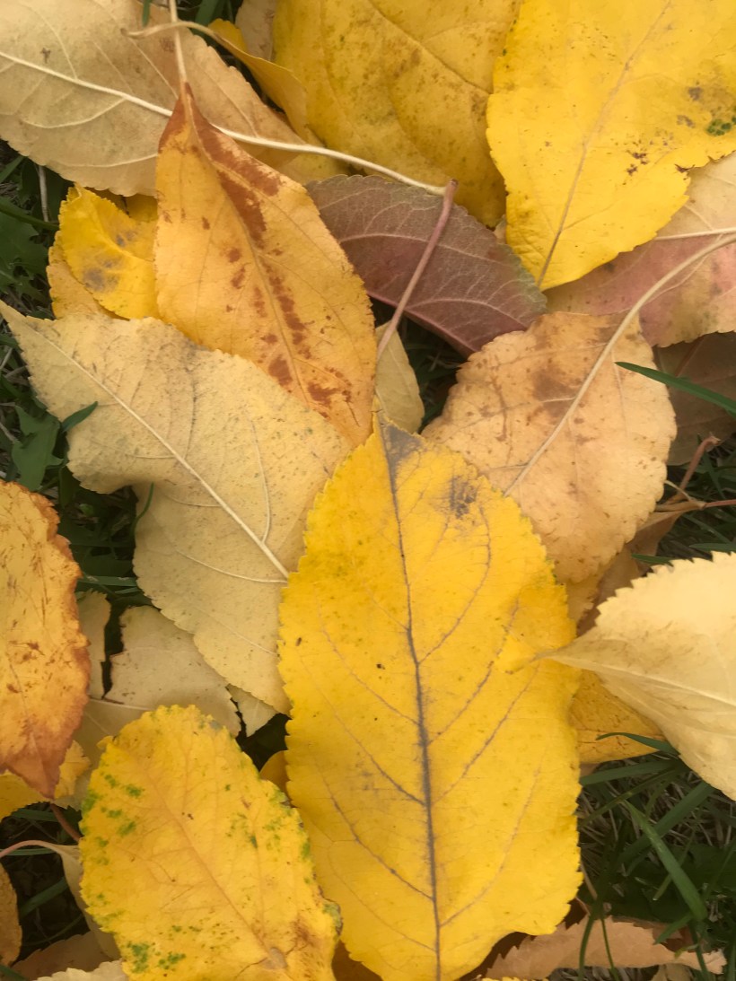 73339D39-13E6-4265-AE6A-A1BB346D656B