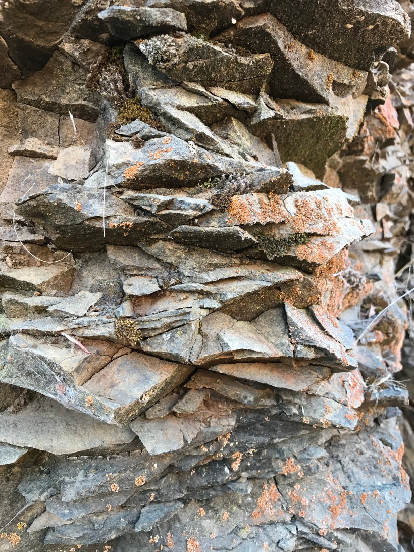 89B5B37A-C403-435B-A267-ACC15651E42B