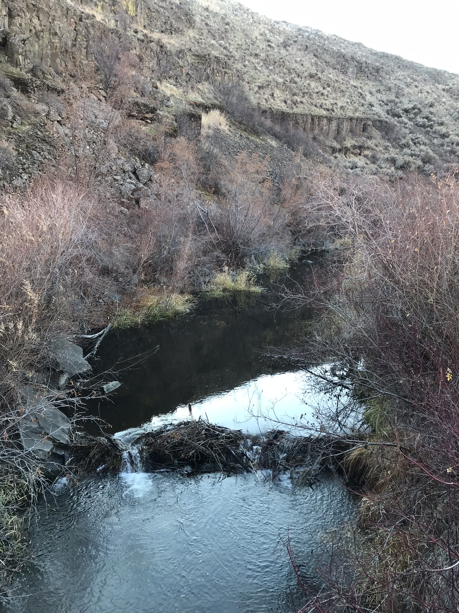 CAC20AD3-0AB5-40E7-98A8-BDBE1B1818EE