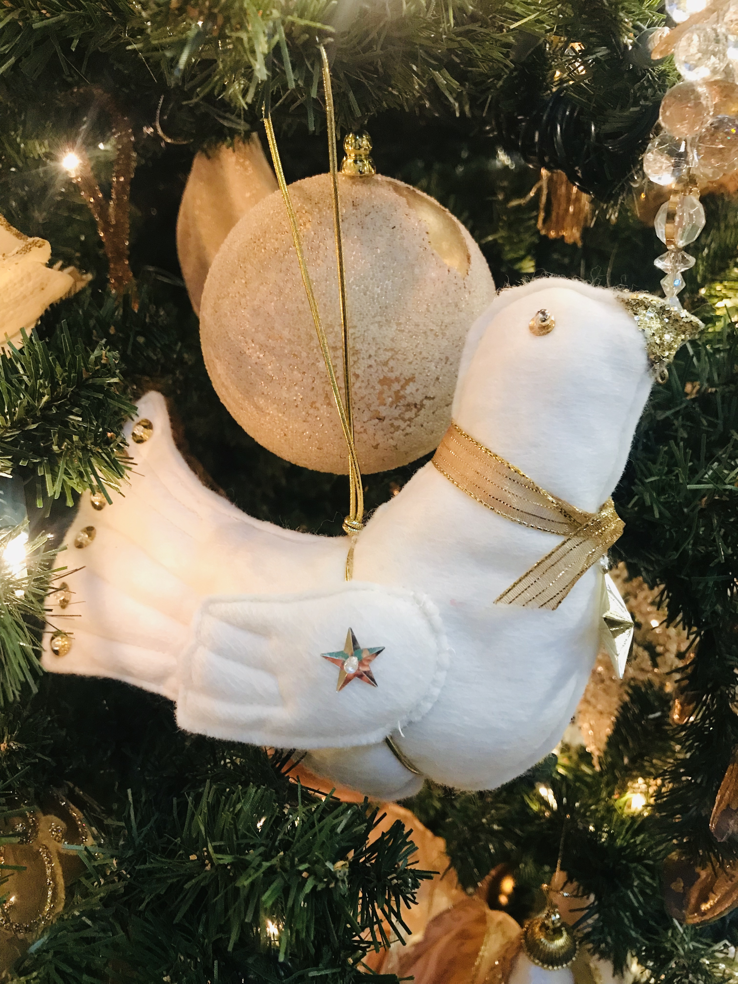 0632AB35-2DC9-4F50-8F2B-D504DCF13AE4