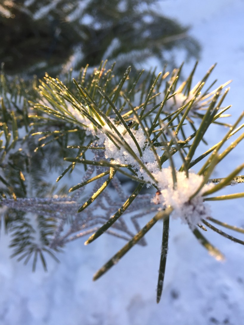 35147FCD-2893-48EF-A473-26354F393228