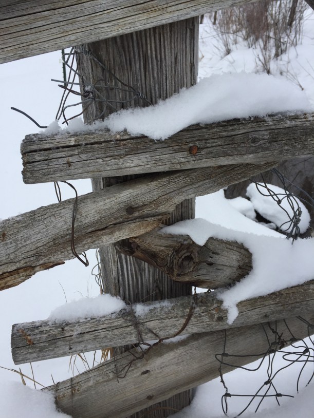 38C38994-6C3B-4F8B-BF62-15DA3E3C2877